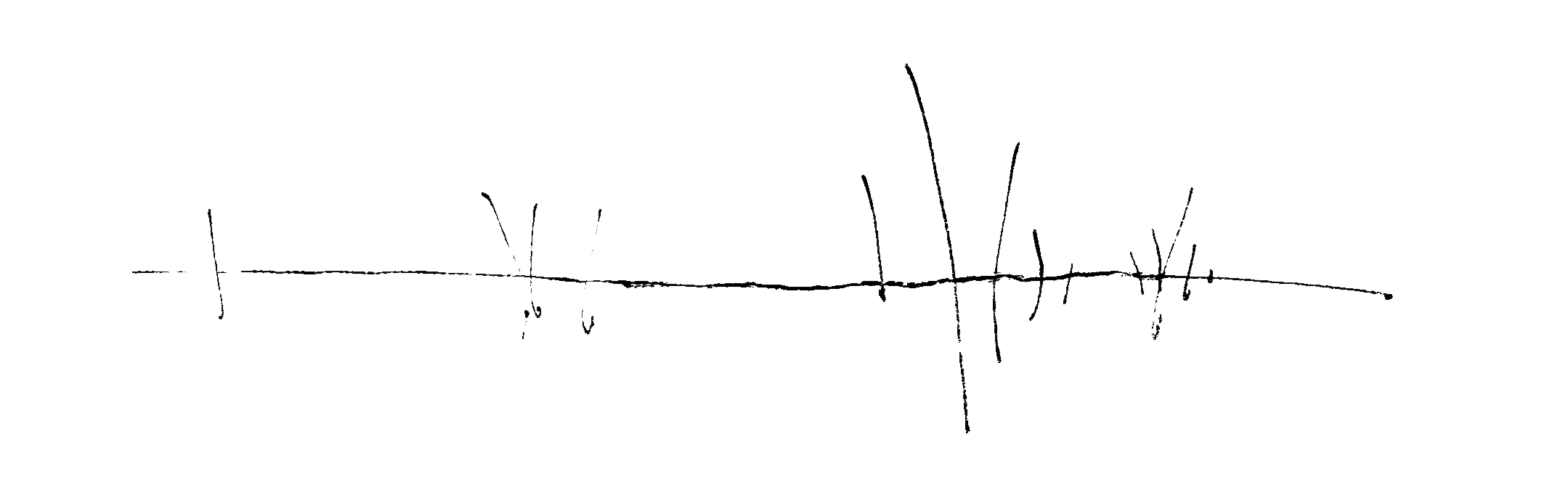 Zeichnung von abstrakten Grashalmen.